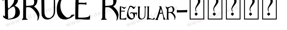 BRUCE Regular字体转换